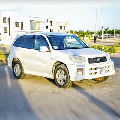 Car Rental